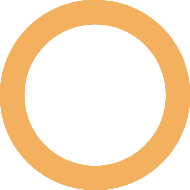 https://donofrioinc.com/wp-content/uploads/2022/06/Orange-circle-semi-transparent.png